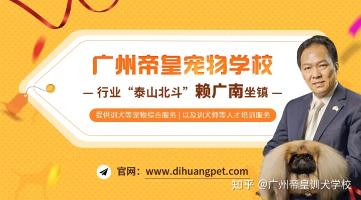 有上門給狗狗洗澡的嗎_狗狗訓練上門服務_成都上門訓練狗狗