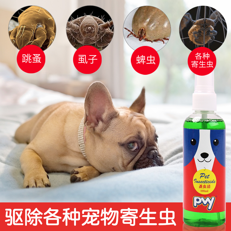 狗弓形體病_狗弓弓腰是怎么回事_雞敗血霉形體病