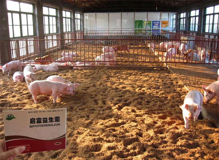 家庭養(yǎng)羊羊床設(shè)計(jì)_豬發(fā)酵床豬舍設(shè)計(jì)_養(yǎng)豬場(chǎng)豬床設(shè)計(jì)