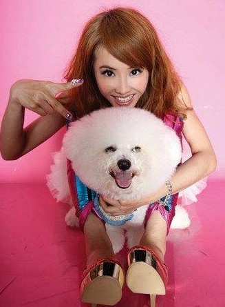 蔡依林養(yǎng)的什么狗_蔡依林的狗是什么品種狗_蔡依林狗狗的品種