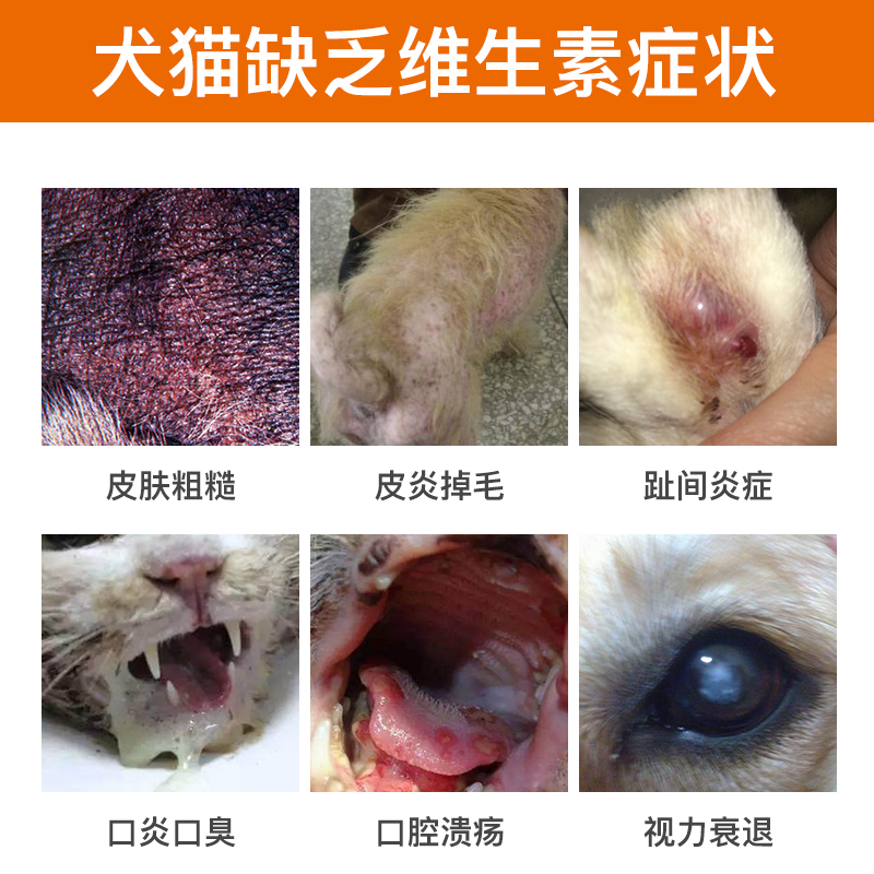 大慶新聞60分賣病狗_西樵論壇賣病狗_西樵論壇賣病狗