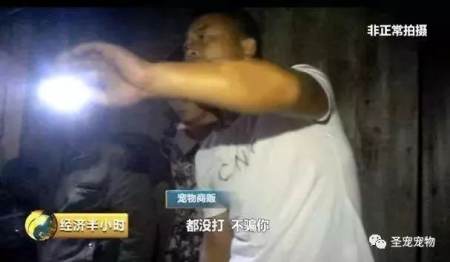 西樵論壇賣病狗_大慶新聞60分賣病狗_西樵論壇賣病狗