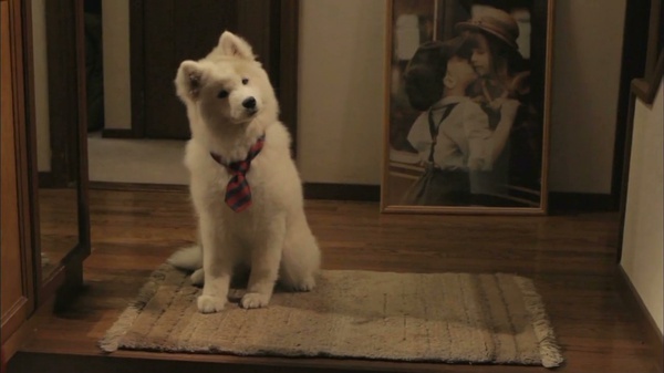 犬飼先生養(yǎng)狗記高清迅雷下載_僵尸先生3靈幻先生 百度影音_犬飼先生養(yǎng)狗記 百度影音