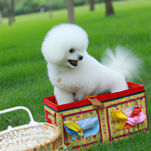 小寵物狗的品種和價格