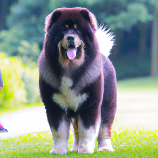 寵物中大型犬品種大全