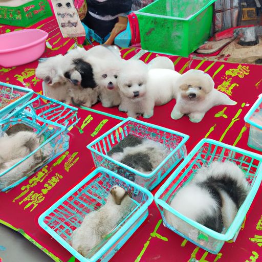 40元以下的寵物狗品種