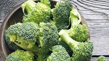 泰迪可以吃狗糧拌飯嗎_泰迪吃狗糧拌飯_泰迪狗吃狗糧
