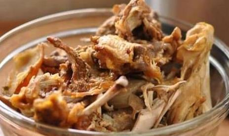 泰迪狗吃狗糧_泰迪吃狗糧拌飯_泰迪可以吃狗糧拌飯嗎