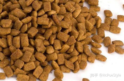 泰迪吃狗糧營(yíng)養(yǎng)夠嗎_泰迪狗糧吃什么好_泰迪一直吃狗糧嗎