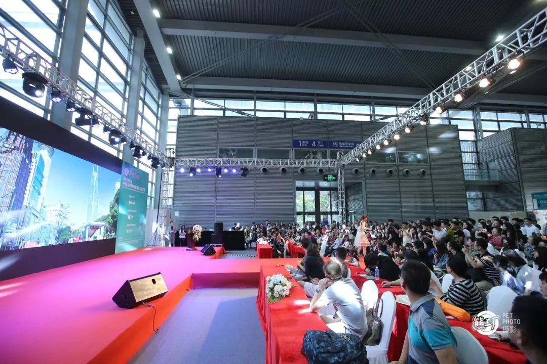 深圳寵物市場地址哪里啊_深圳 寵物市場_2016深圳最大寵物市場