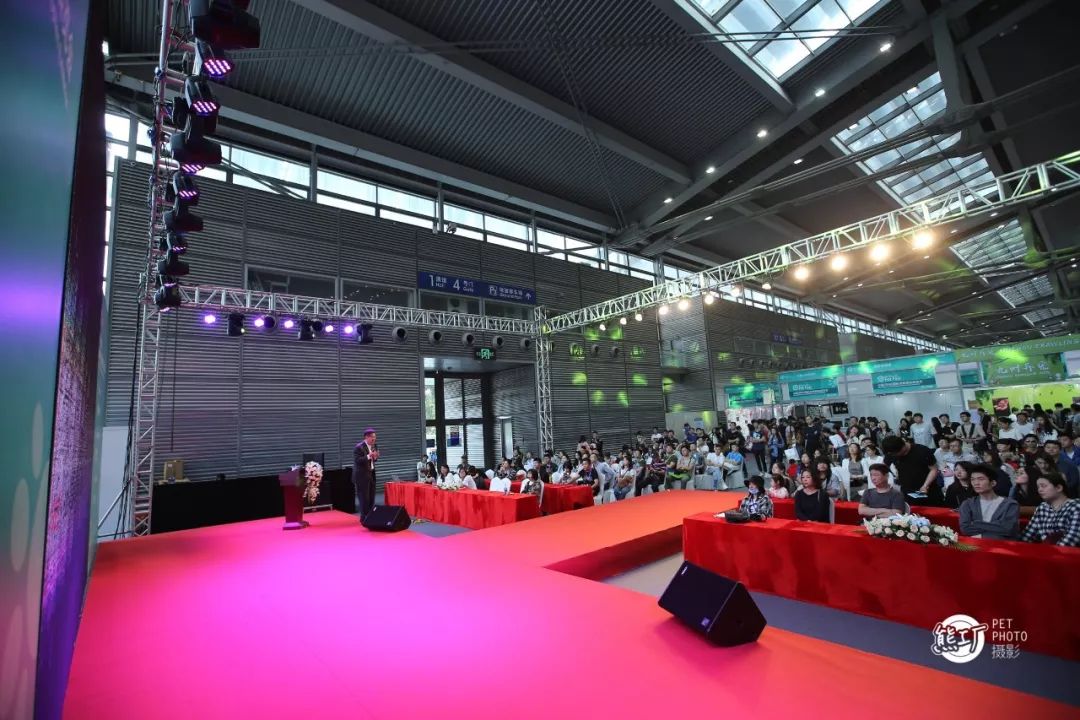 深圳 寵物市場_2016深圳最大寵物市場_深圳寵物市場地址哪里啊