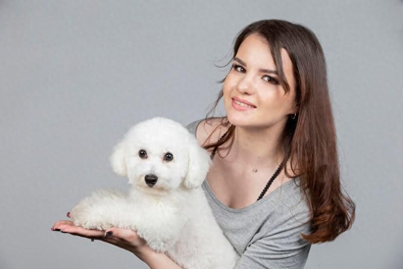 比比熊狗_比熊犬多少錢一只_狗比熊