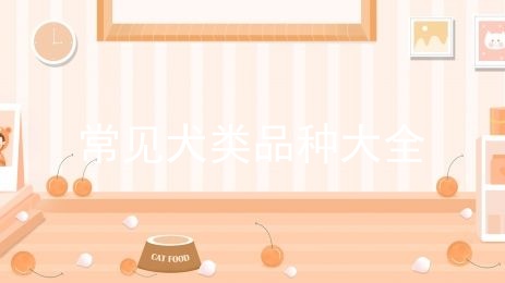 寵物狗的種類(lèi)及圖片 第1張