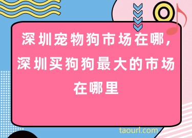 深圳寵物狗市場(chǎng)在哪,深圳買狗狗最大的市場(chǎng)在哪里
