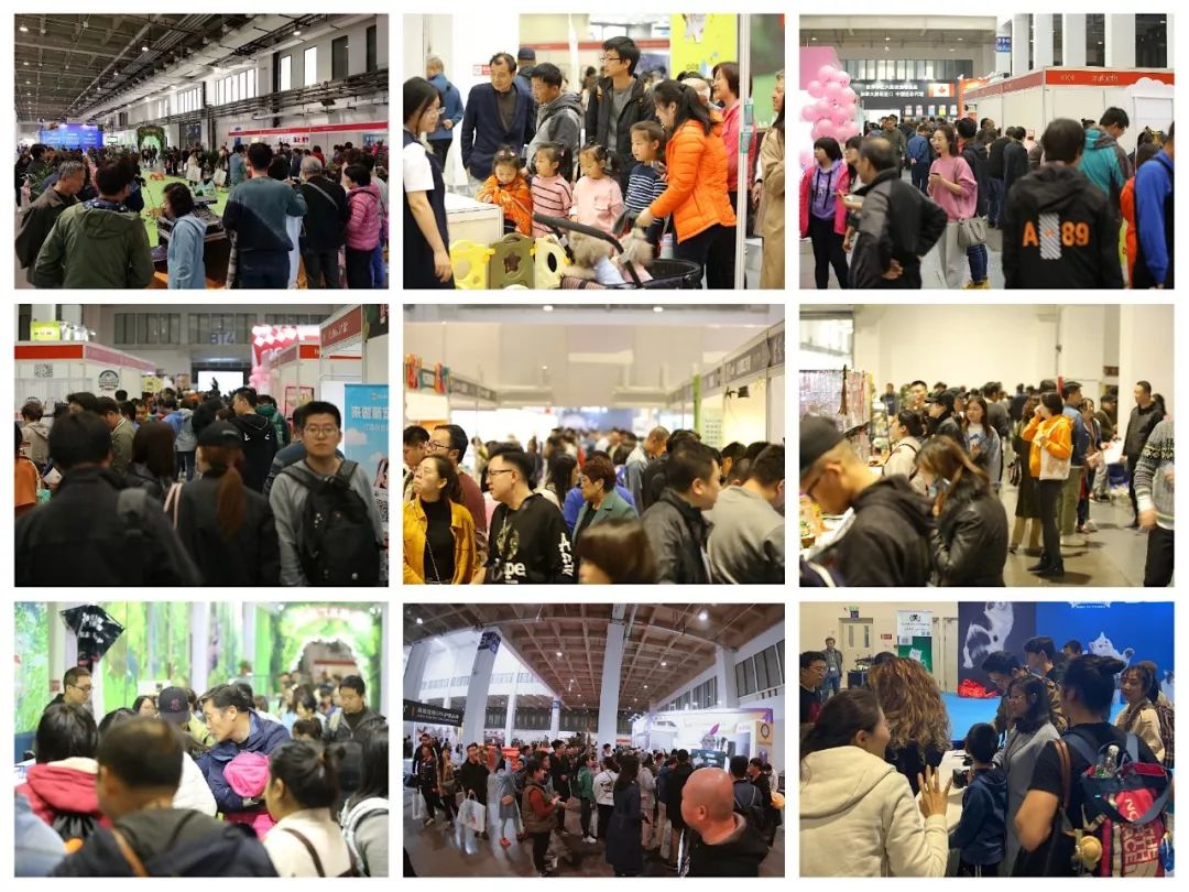 北京寵物市場批發(fā)市場_北京寵物市場排名_北京 寵物市場