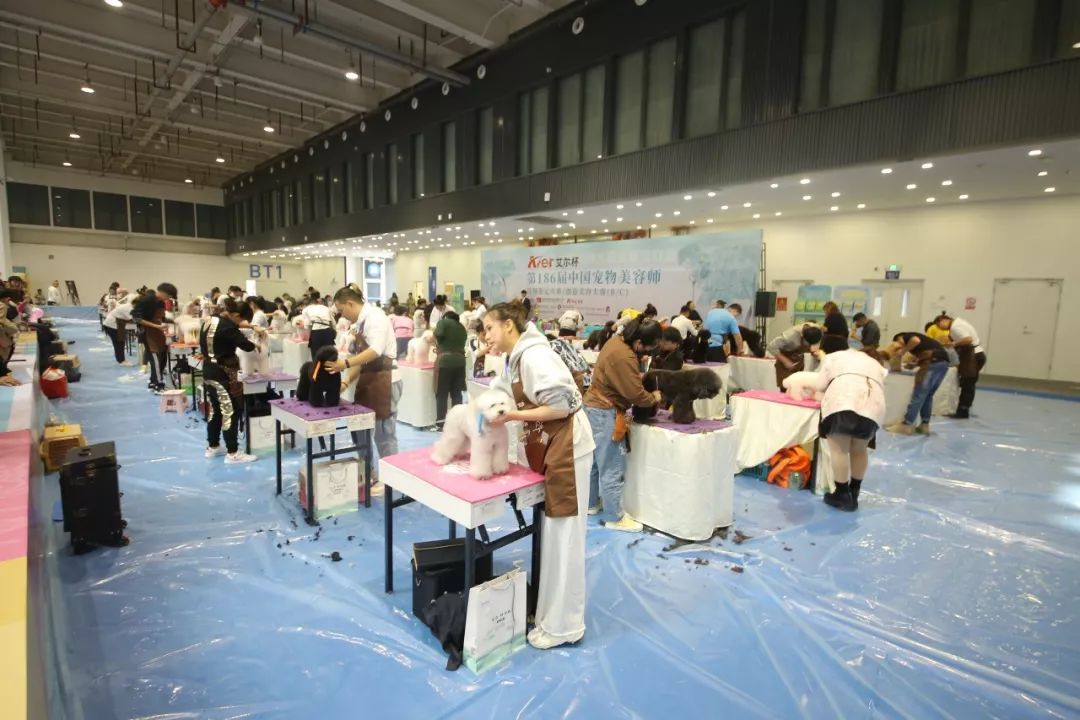 北京 寵物市場_北京寵物市場排名_北京寵物市場批發(fā)市場
