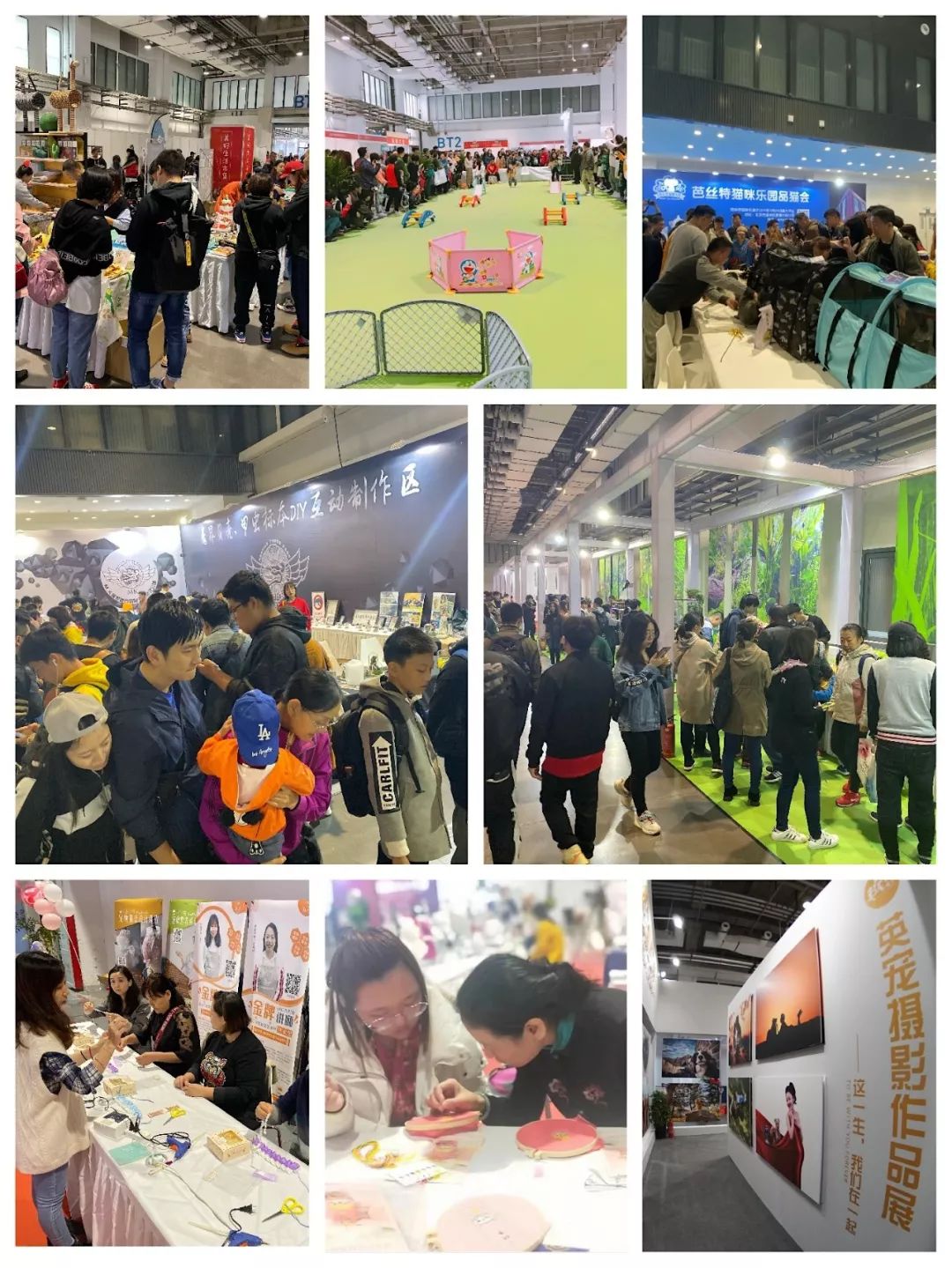 北京寵物市場排名_北京寵物市場批發(fā)市場_北京 寵物市場