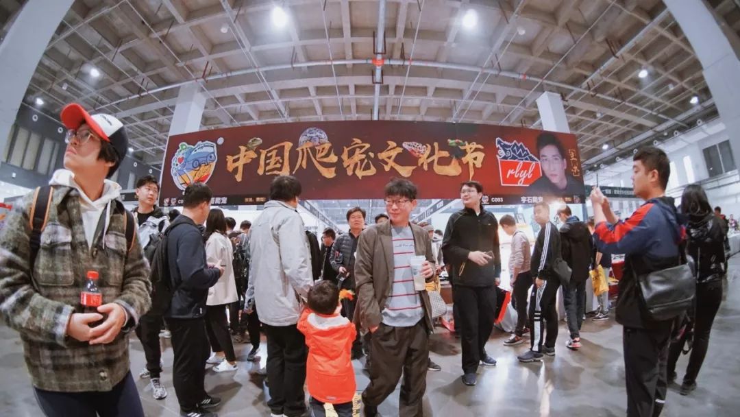 北京 寵物市場_北京寵物市場批發(fā)市場_北京寵物市場排名