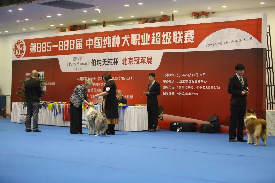 北京寵物市場排名_北京寵物市場批發(fā)市場_北京 寵物市場