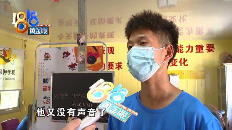 邊境牧羊犬價(jià)格_邊境牧羊犬市場價(jià)_邊境犬牧羊價(jià)格多少錢