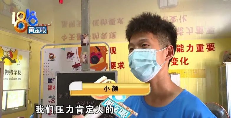 邊境犬牧羊價(jià)格多少錢_邊境牧羊犬價(jià)格_邊境牧羊犬市場價(jià)