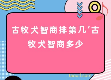 古牧犬智商排第幾，古牧犬智商多少