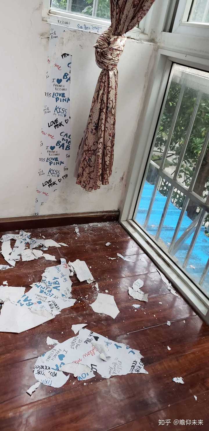 金毛犬要多少錢(qián)_金毛要幾塊錢(qián)_金毛犬花費(fèi)