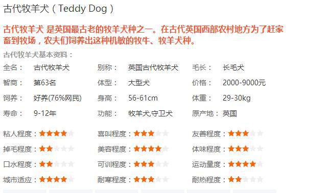 古代牧羊犬貴不貴_古代牧羊犬犬舍_古代牧羊犬價(jià)格