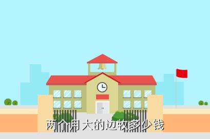 兩個月大的邊牧多少錢