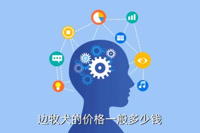 邊牧犬的價格一般多少錢