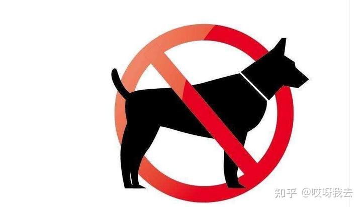 比利時(shí)牧羊犬多少錢_比利時(shí)牧羊犬多少錢一個(gè)_比利時(shí)牧羊犬價(jià)格