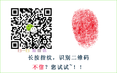 北京哪里有賣茶杯犬_狗市茶杯犬_茶杯狗哪里有賣